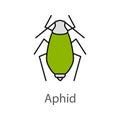 Aphid color icon Royalty Free Stock Photo