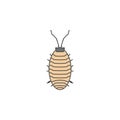aphid colored outline icon. One of the collection icons for websites, web design, mobile app Royalty Free Stock Photo