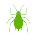 Aphid vector icon