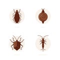 Aphids, snails, stink bugs, silverfishes Royalty Free Stock Photo