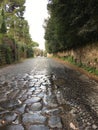 Ancient road in Rome Royalty Free Stock Photo