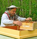 Apiarist. Royalty Free Stock Photo