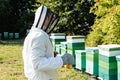 apiarist in beekeeping suit and helmet