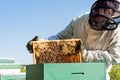 apiarist in beekeeping suit holding frame