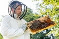 apiarist in beekeeping suit holding frame