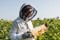 apiarist in beekeeping suit holding honeycomb