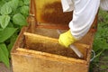 Apiarist and box with honeycombs