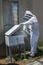 An apiarist dressed in a beekeeping suit uses a smoker to pacify the bees in a portable hive.