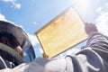 Apiarist Holding Golden Honeycomb