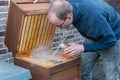 Beekeeper checks his bee colony using smoke Royalty Free Stock Photo