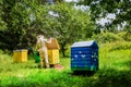 Apiarist man working in nature in summer