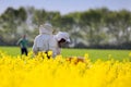 Apiarists in rapeseed field Royalty Free Stock Photo