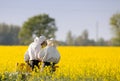 Apiarists in rapeseed field Royalty Free Stock Photo