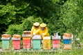 Apiarists working Royalty Free Stock Photo