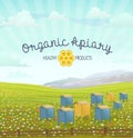 Apiary in alpine meadows mountains. Honey Farm.