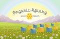 Apiary in alpine meadows mountains. Honey Farm. Royalty Free Stock Photo