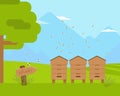 Apiary, apiculture flat color vector illustration isolated on nature background Royalty Free Stock Photo