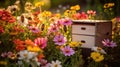 apiary bee boxes Royalty Free Stock Photo