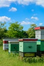 Apiary. Beehives in the apiary. Apiculture.