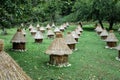 Apiary beehives made from a single tree trunk .