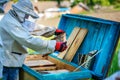 Apiary. The beekeeper works with bees near the hives Royalty Free Stock Photo