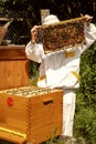 Apiary - beekeeper wtih bees Royalty Free Stock Photo