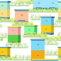 Apiary with bees and hives. In the meadow with grass and blooming daisies and dandelions. Seamless pattern. Isolated on Royalty Free Stock Photo