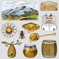 Apiary farm hand drawn vintage honey making farmeer beekeeper vector illustration. Mountain and nature product by bee