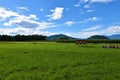 Apiary at the fields of Sorsko polje in Gorenjka, Slovenia