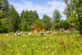 Apiary in the forest in the meadow, beehives with bees, beekeepers work Royalty Free Stock Photo