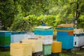 Apiary among fruit trees. Multihull hives with honeybees collecting nectar in summer. Bees flying away for honey harvest Royalty Free Stock Photo