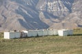 Apiary on the grass in the mountains. Beekeeping. Royalty Free Stock Photo
