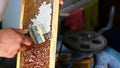 Apiary hive frame with bees wax structure full. Beekeeper is uncapping honeycomb with uncapping fork. Beekeeping concept. Authenti