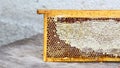 Apiary hive frame with bees wax structure full of fresh bee honey in honeycombs. Isolated. Authentic lifestyle image. Top view. Fr