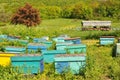 Apiary