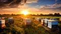 apiary honey farm