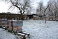 Apiary in the morning covered with snow is on the wooden hives a lot of hives fruit trees apple trees