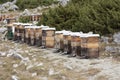 Apiary. Old wooden hives stand on the edge of the spring forest. Ecologically clean beekeeping. Wooden beehive and bees photo Royalty Free Stock Photo