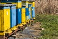 An apiary from the Polish countryside Royalty Free Stock Photo