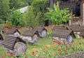 Apiary on the road to lake Ritsa