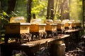 Apiary Scene: Producing Honey in Beehives. AI