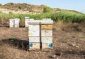 An apiary with several beehives stands on the Golan Heights in northern Israel
