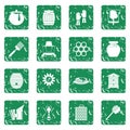 Apiary tools icons set grunge