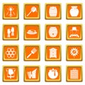Apiary tools icons set orange