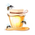 Apiary vector illustrations