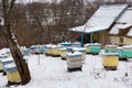 Apiary in winter garden