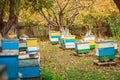 Apiary with wooden old beehives in fall. Preparing bees for wintering. Autumn flight of bees before frosts. Warm weather in apiary