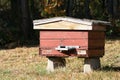 Apiary, wooden and wicker hand made traditional old beehives