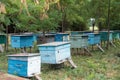 Apiary in the woods Royalty Free Stock Photo