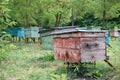 Apiary in the woods Royalty Free Stock Photo